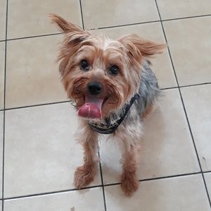 Meet your Posher, Bridgett